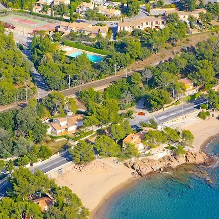 Sweet De L'ile D'or *